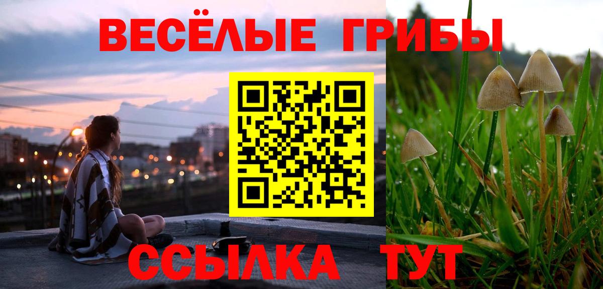 Александров  Псилоцибиновые грибы Cubensis  Вход с VPN 