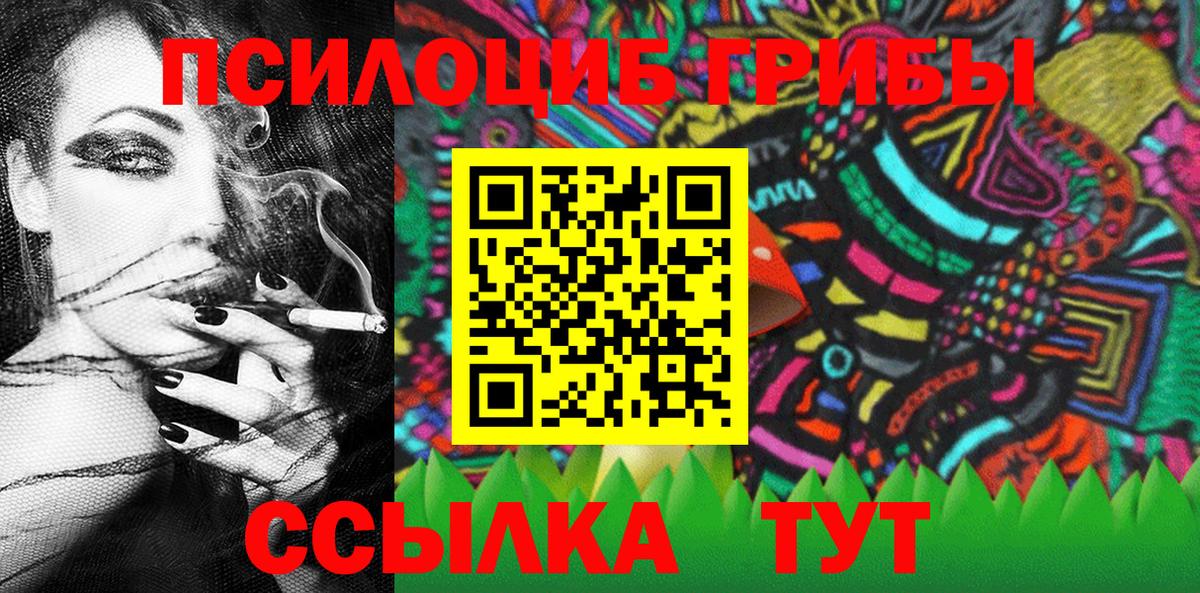 Галлюциногенные грибы Psilocybine cubensis Александров